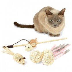 Cheap Cat Playthings You can Find Around Your Home